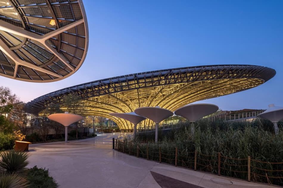 Lit public canopy cluster